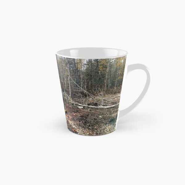 canadian swamp land 1 Tall Mug
