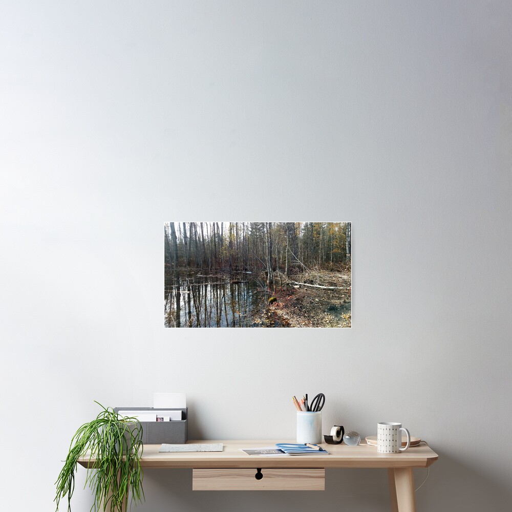 canadian swamp land 1 Poster
