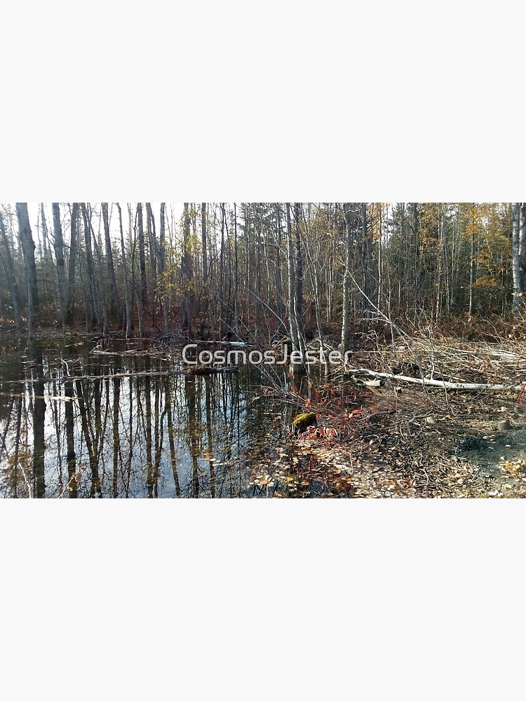 canadian swamp land 1 by CosmosJester