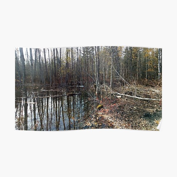 canadian swamp land 1 Poster