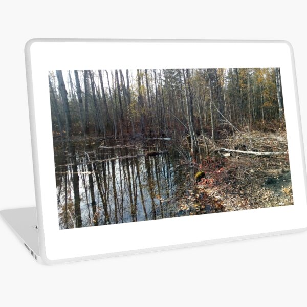 canadian swamp land 1 Laptop Skin
