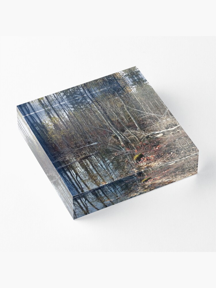 Alternate view of canadian swamp land 1 Acrylic Block