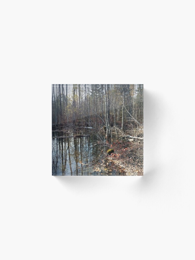 Alternate view of canadian swamp land 1 Acrylic Block