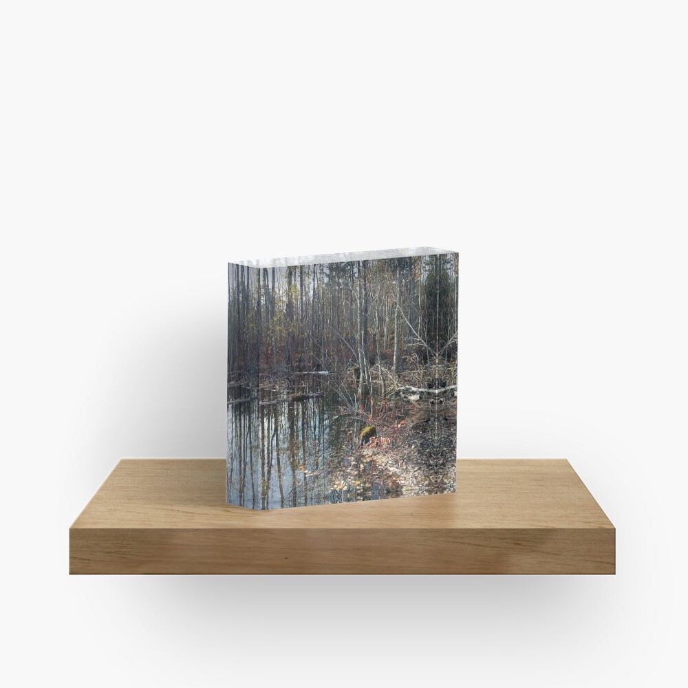 canadian swamp land 1 Acrylic Block