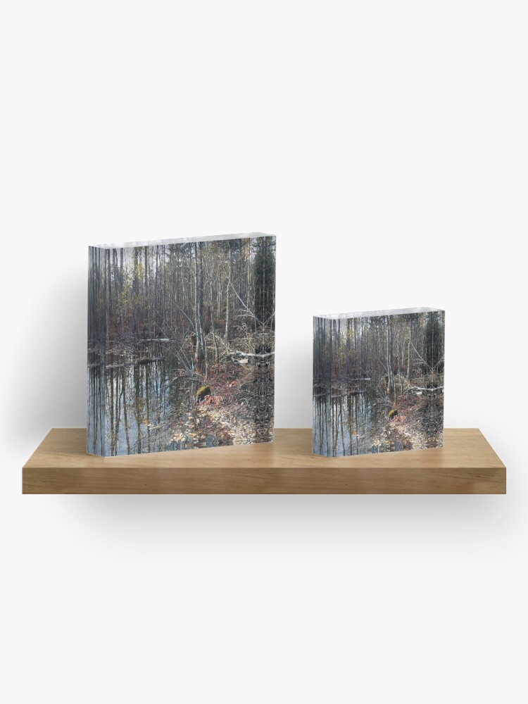 Alternate view of canadian swamp land 1 Acrylic Block
