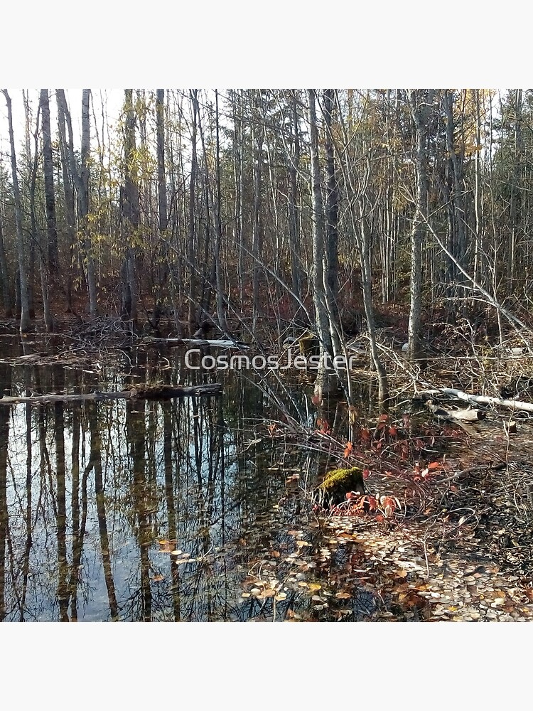 canadian swamp land 1 by CosmosJester