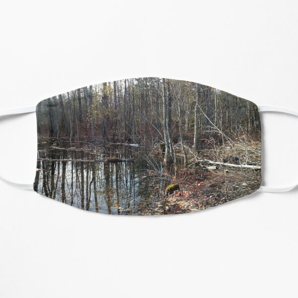 canadian swamp land 1 Mask