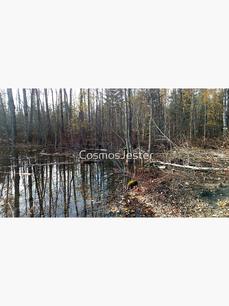 canadian swamp land 1 by CosmosJester