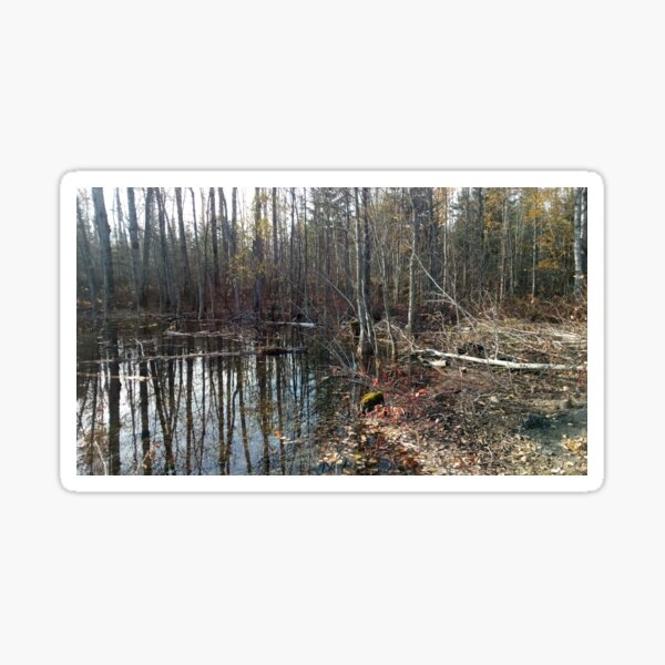 canadian swamp land 1 Sticker
