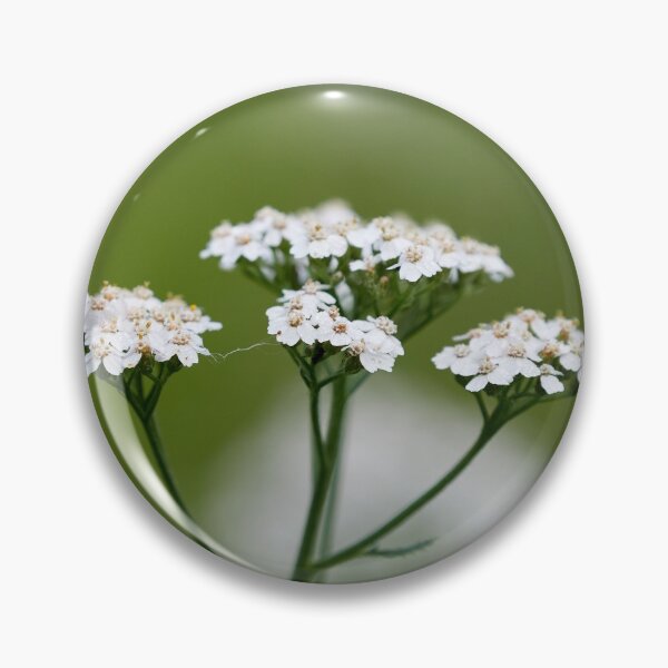 Item preview, Yarrow  number 2 designed and sold by Jouko Lehto Photography.