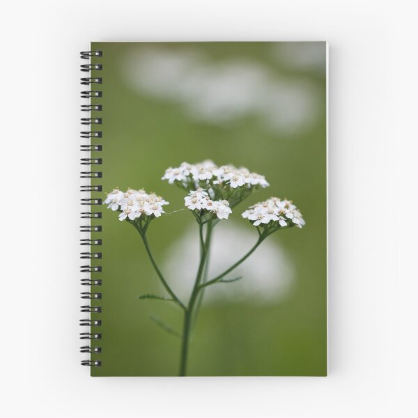 Item preview, Yarrow  number 2 designed and sold by Jouko Lehto Photography.