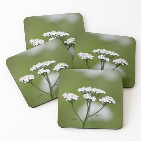 Item preview, Yarrow  number 2 designed and sold by Jouko Lehto Photography.