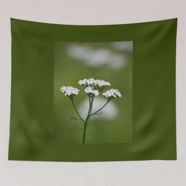 Item preview, Yarrow  number 2 designed and sold by Jouko Lehto Photography.