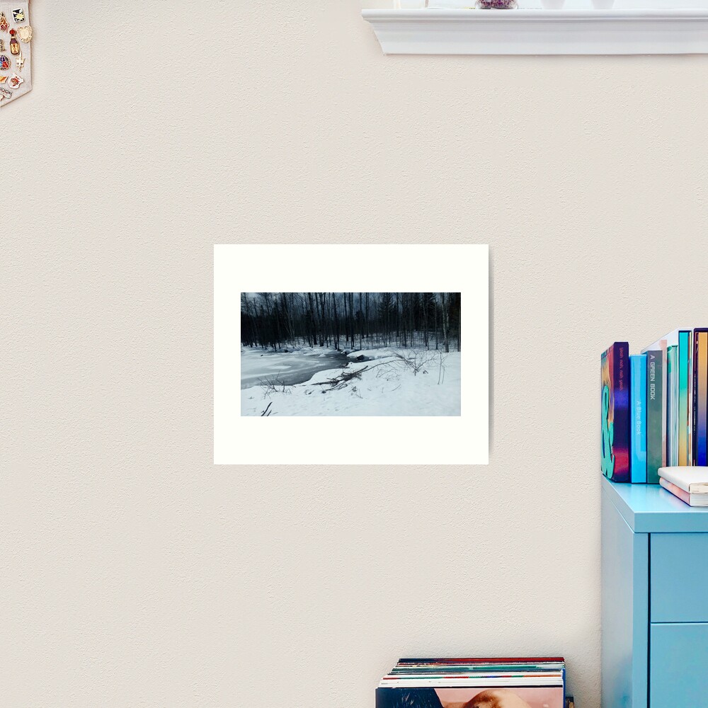 Canadian swamp land 1 in the winter Art Print
