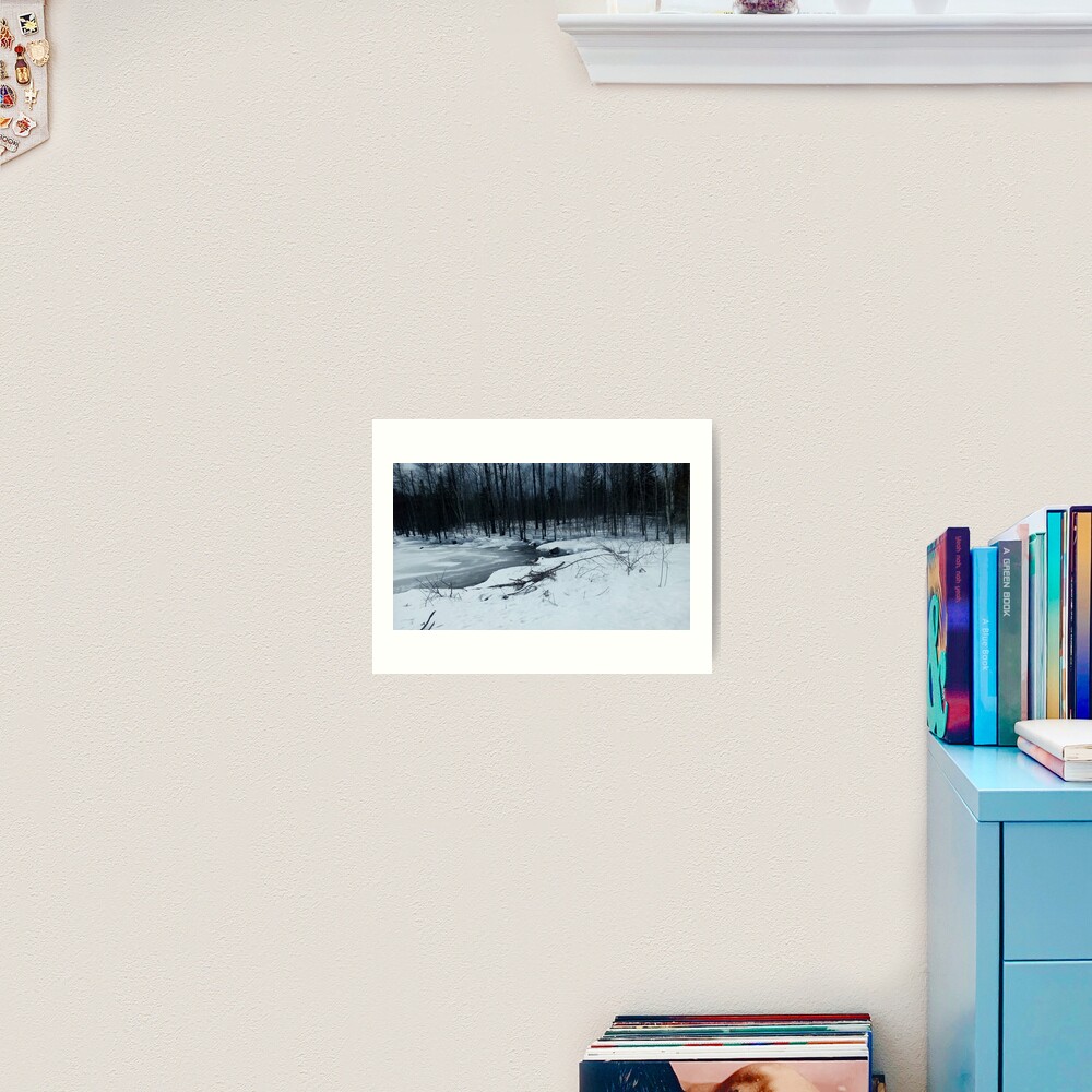 Canadian swamp land 1 in the winter Art Print
