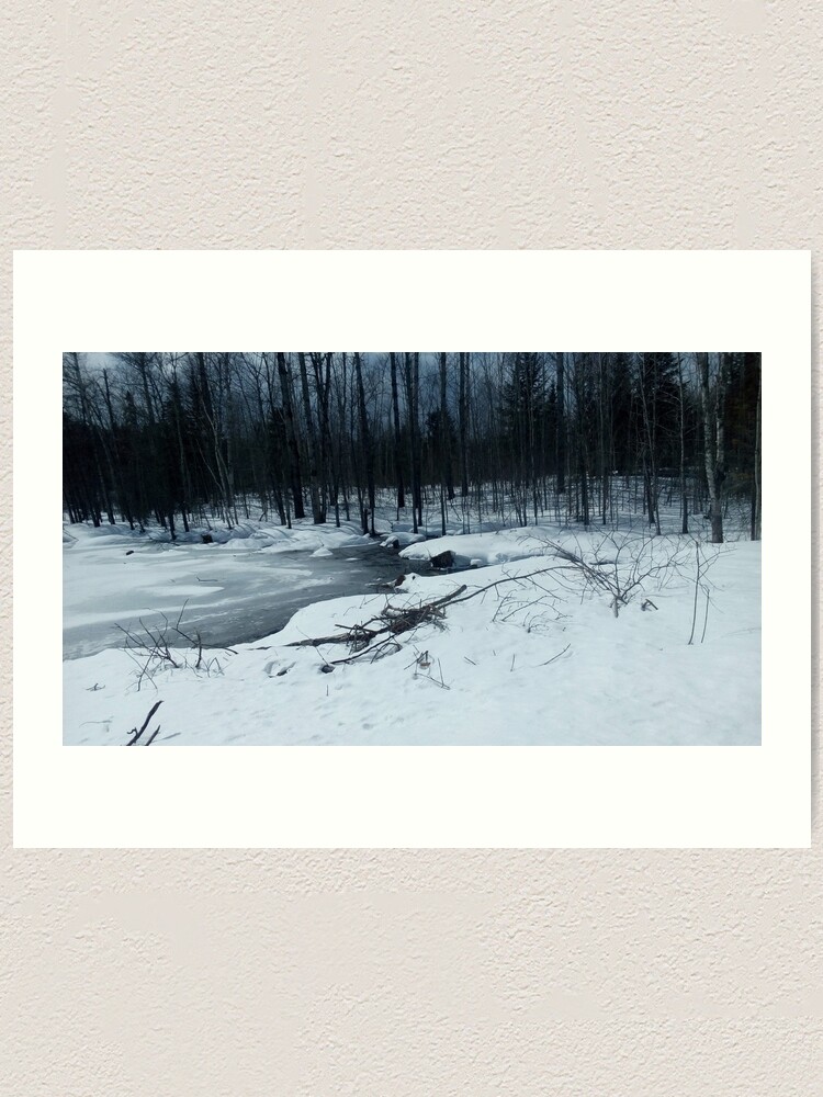 Alternate view of Canadian swamp land 1 in the winter Art Print
