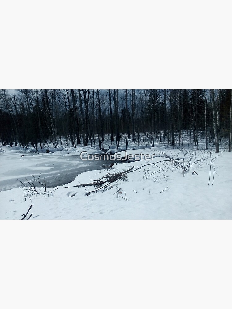 Canadian swamp land 1 in the winter by CosmosJester