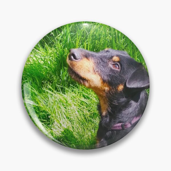 Item preview, Hunt terrier looking thoughtfully somewhere designed and sold by helenkaiy.