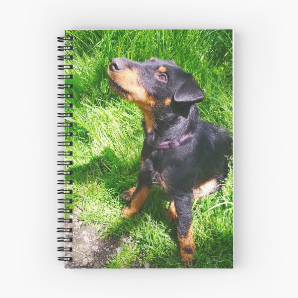 Item preview, Hunt terrier looking thoughtfully somewhere designed and sold by helenkaiy.