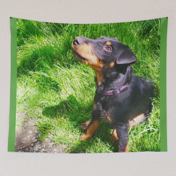 Item preview, Hunt terrier looking thoughtfully somewhere designed and sold by helenkaiy.