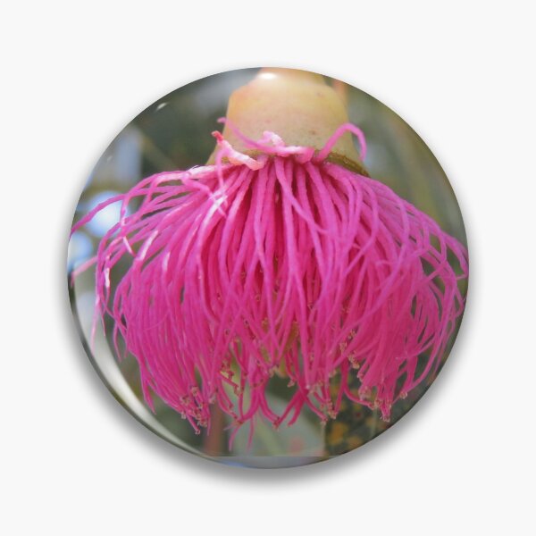 Item preview, Eucalyptus Blossom designed and sold by Honey Myrtle Studio.