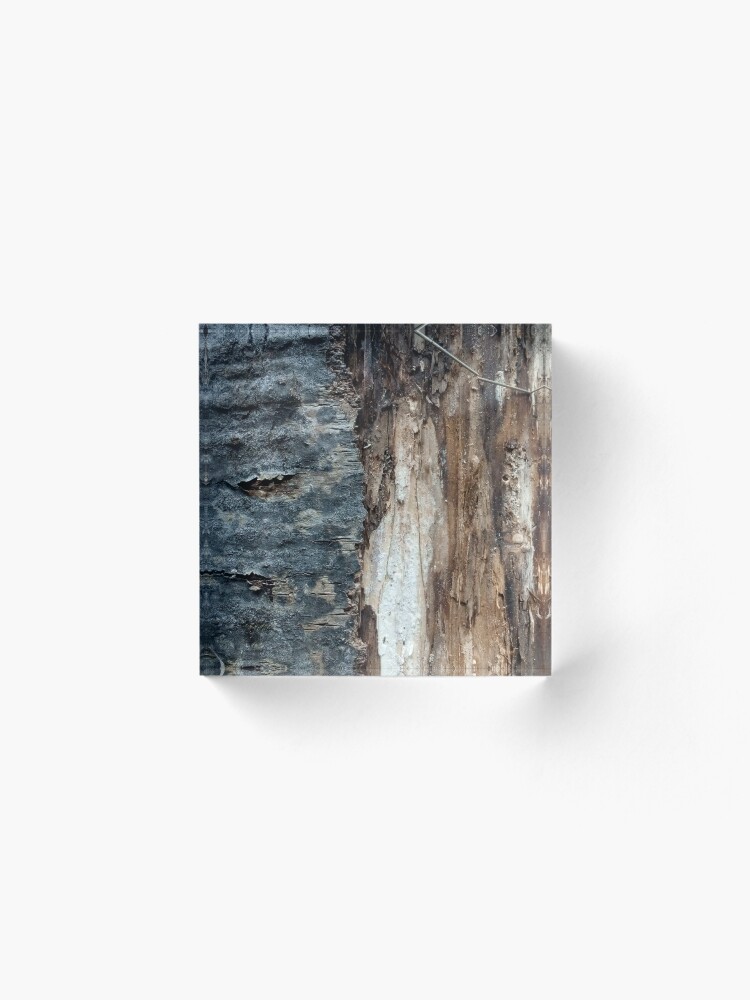 Alternate view of Log up close 1 Acrylic Block