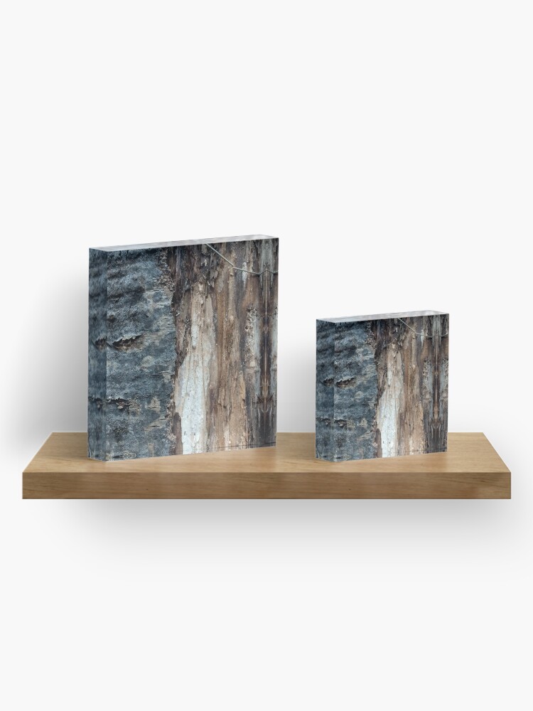 Alternate view of Log up close 1 Acrylic Block