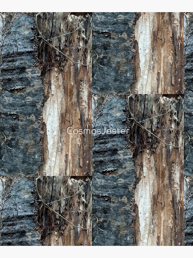 Log up close 1 by CosmosJester