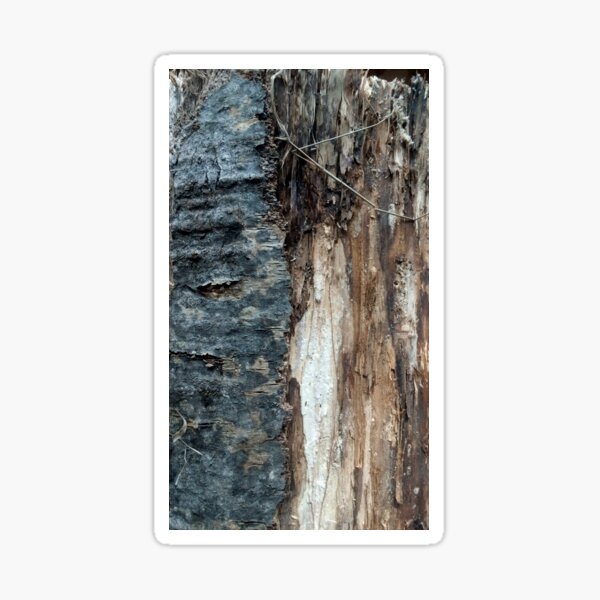 Log up close 1 Sticker