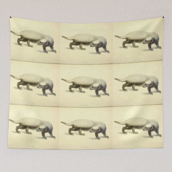 Item preview, Honey Badger  designed and sold by Amanda1775.