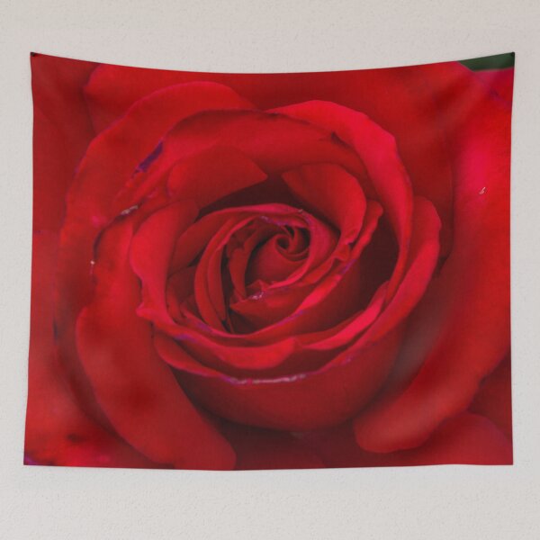 Item preview, Red Rose in Bloom at the Conservatory Garden designed and sold by Steven Jodoin.