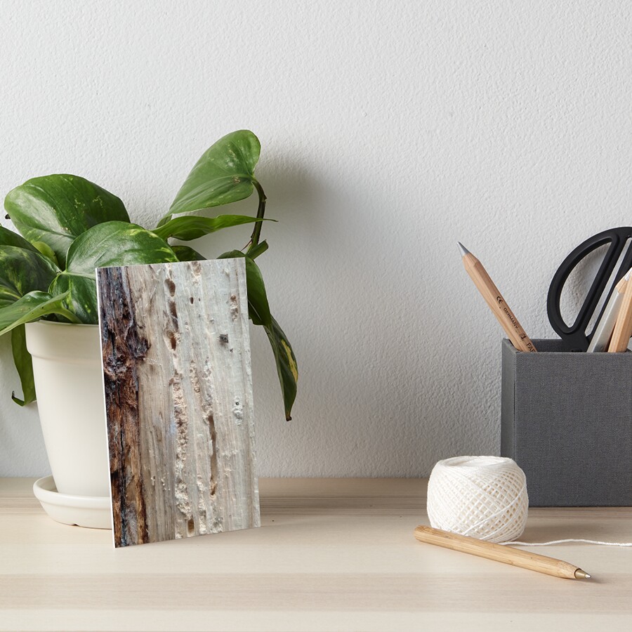 log upclose 2 Art Board Print