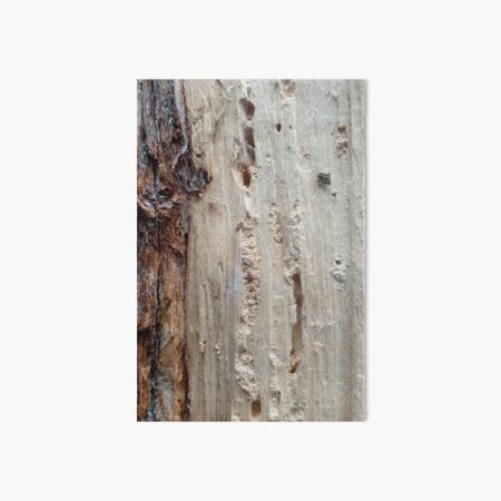 log upclose 2 Art Board Print