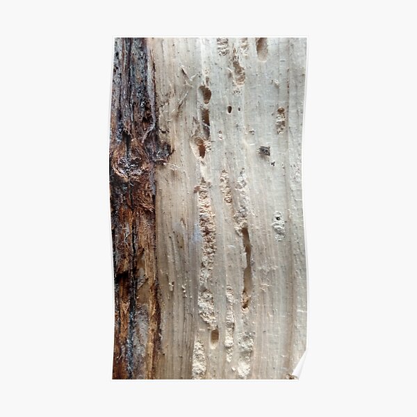 log upclose 2 Poster