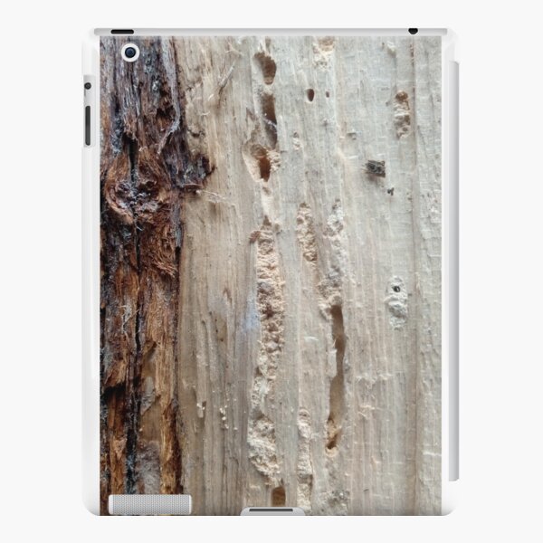 log upclose 2 iPad Snap Case