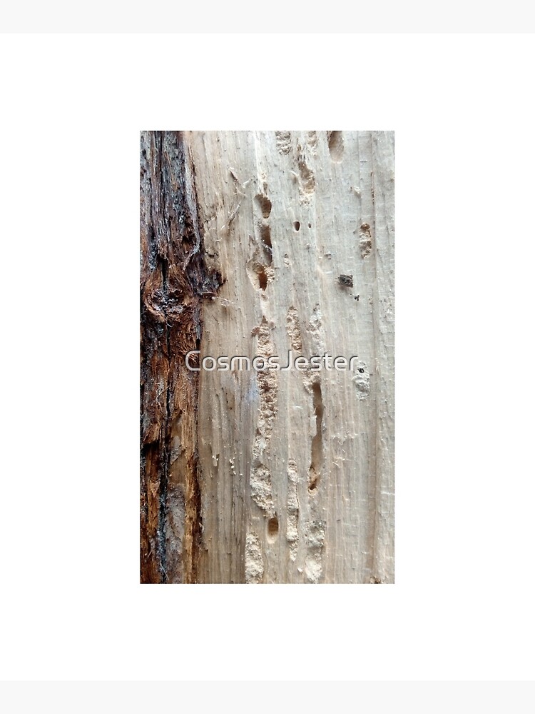 log upclose 2 by CosmosJester