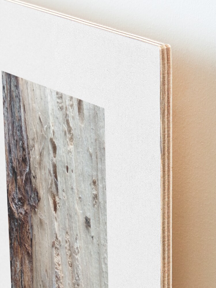 Alternate view of log upclose 2 Mounted Print