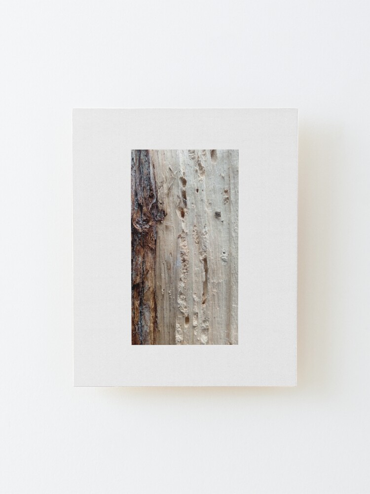 Alternate view of log upclose 2 Mounted Print