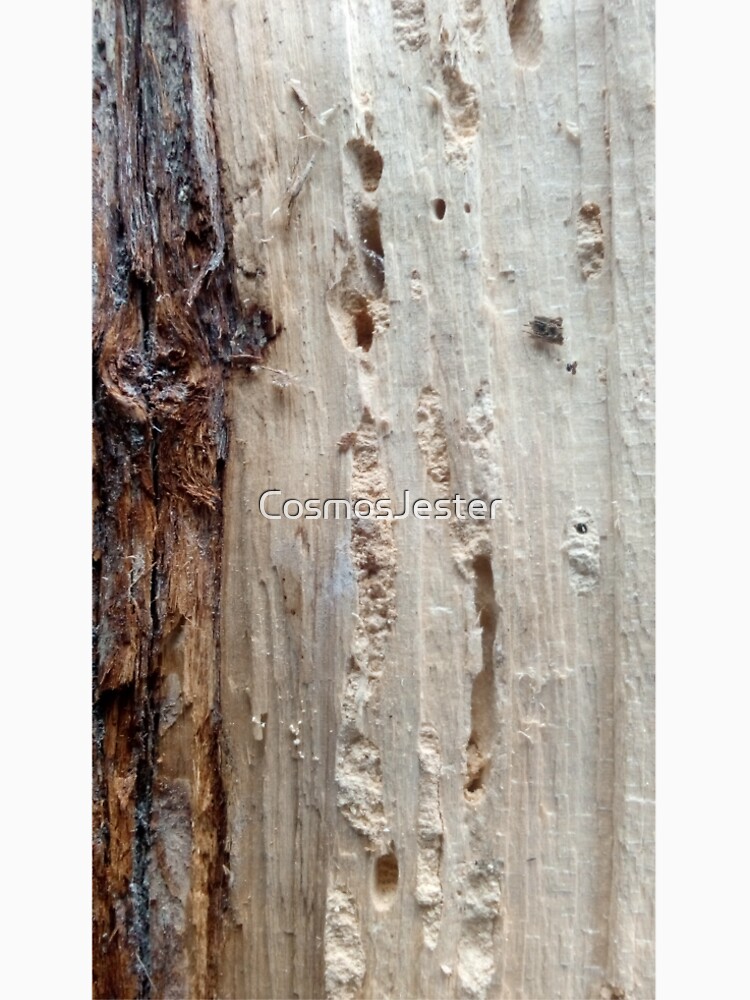 log upclose 2 by CosmosJester