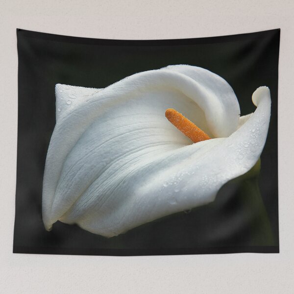 Item preview, Calla lily designed and sold by Karen Tregoning.