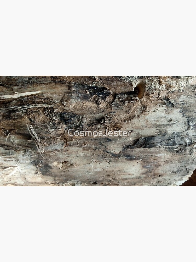 log upclose 3 by CosmosJester