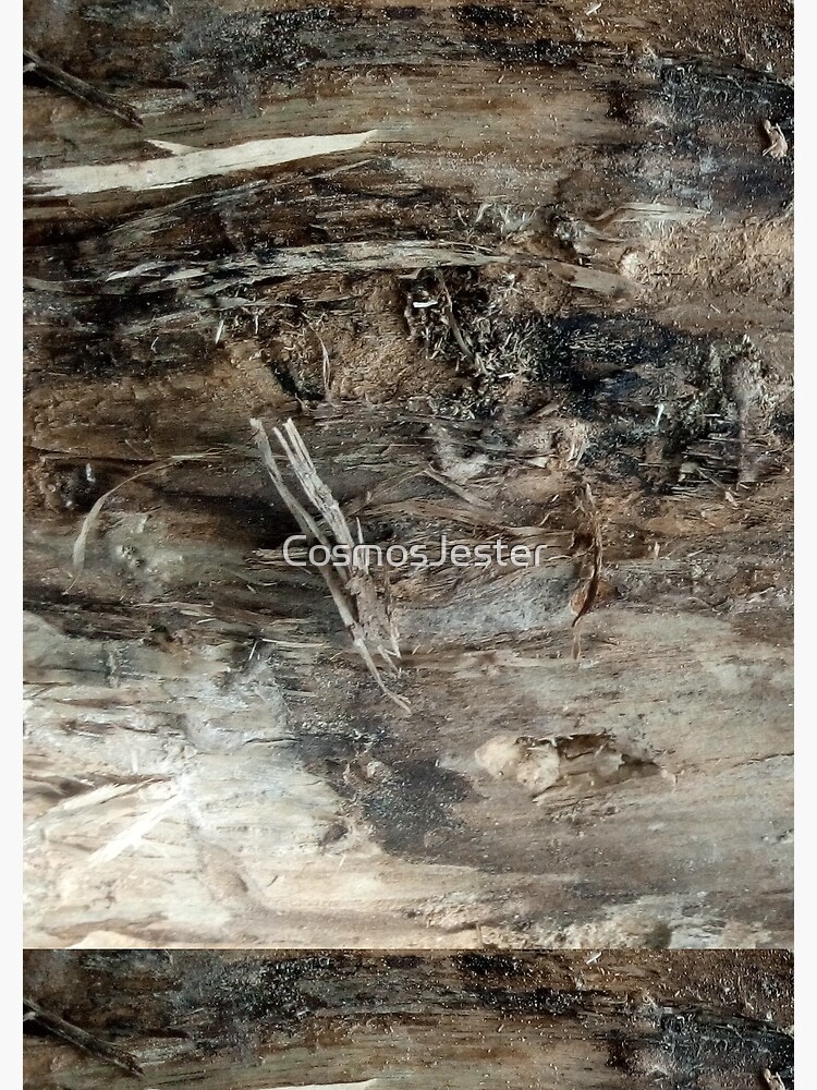 log upclose 3 by CosmosJester
