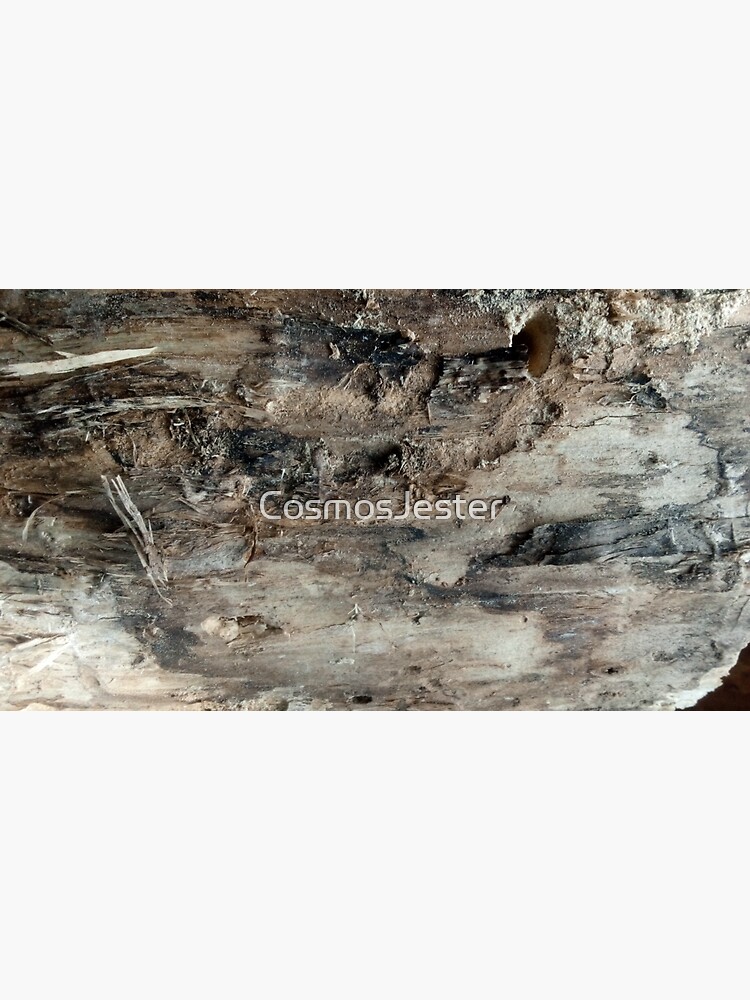 log upclose 3 by CosmosJester
