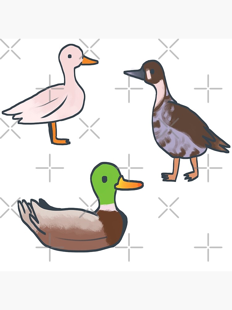 Ducks Sticker Pack 2 Poster For Sale By Sxafo Redbubble 