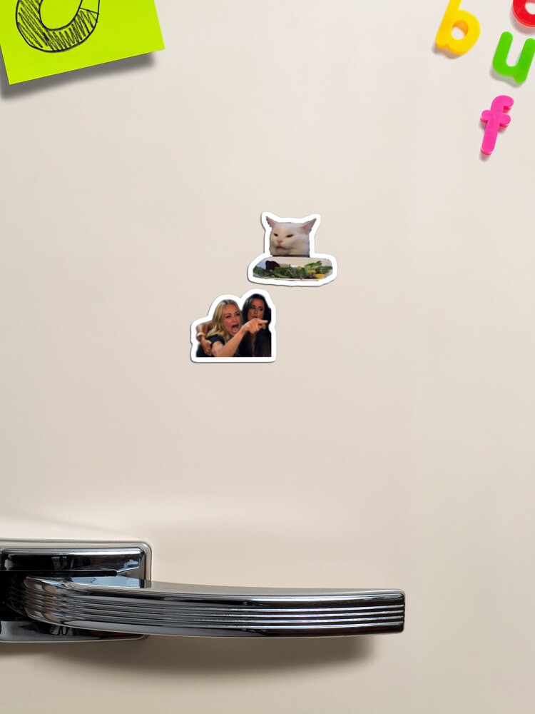 Woman yelling at uninterested cat meme Magnet for Sale by