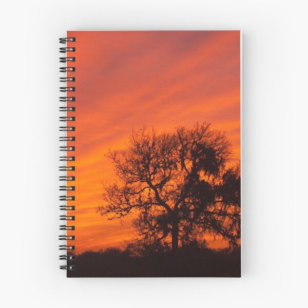 Item preview, Texas Sunset designed and sold by TheCurators.