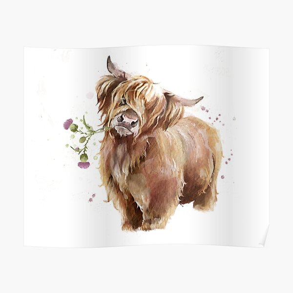 Highland Cow Poster