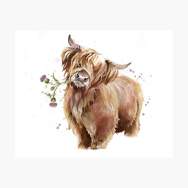 Vista previa del artículo con la obra «Highland Cow», diseñado y vendido por AmeliaPlayer.
