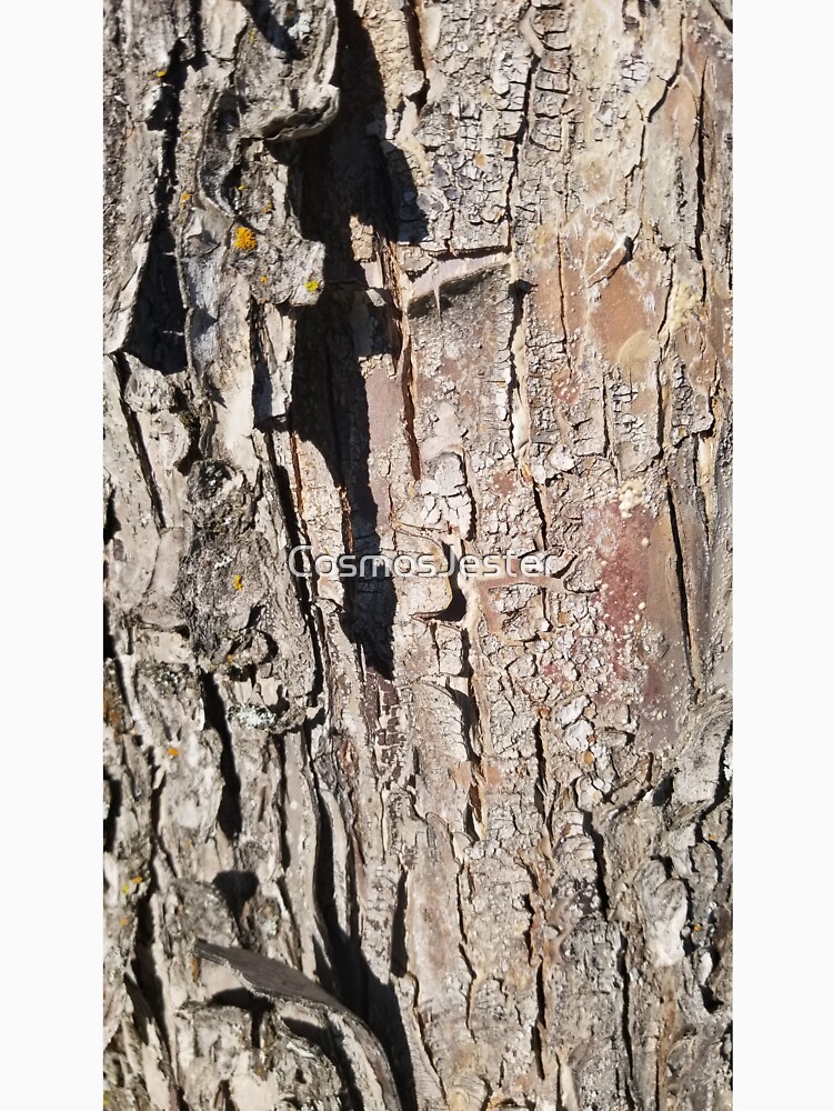 log up close 5 by CosmosJester