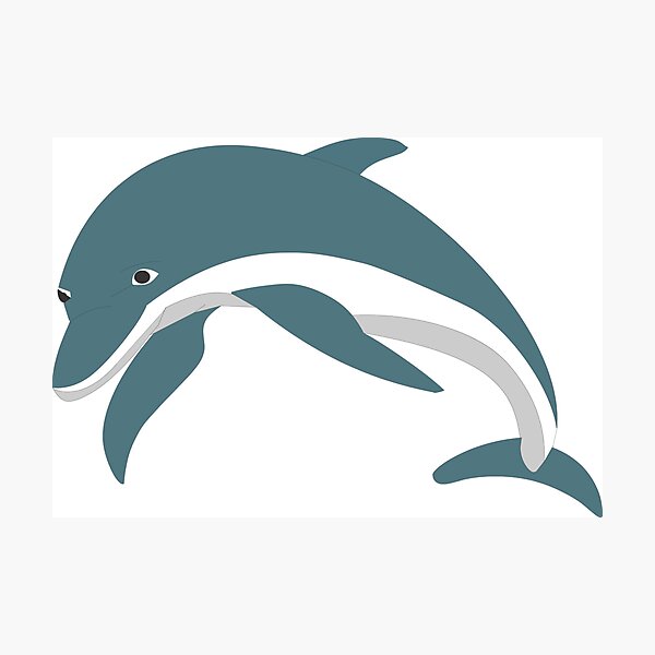 Item preview, dolfin print cards and posters designed and sold by joblogs.